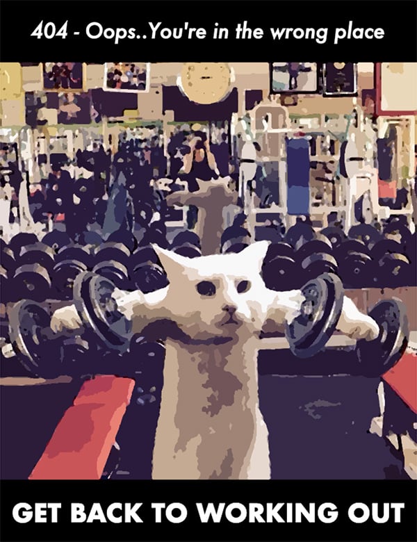 404 workout cat